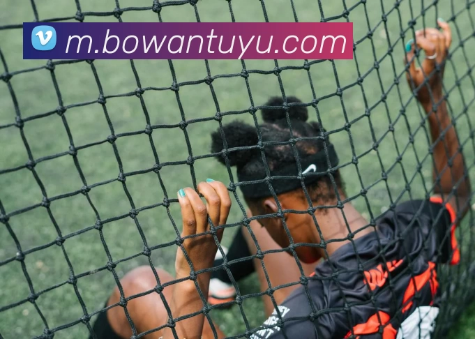 App Interface Preview