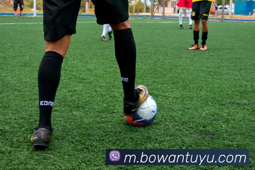 博万体育APP 封面图